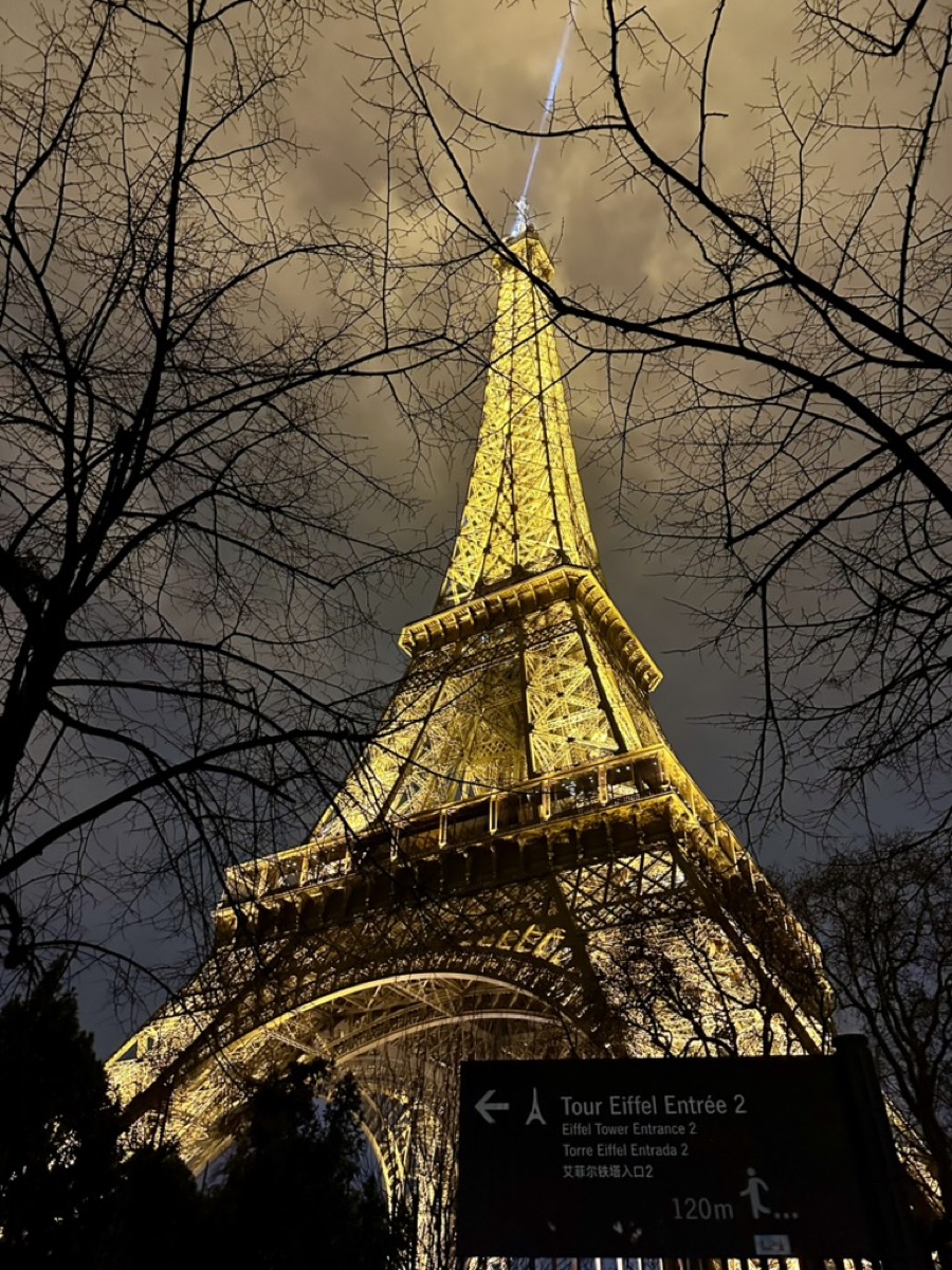 Eiffel Tower lit at night through tree branches